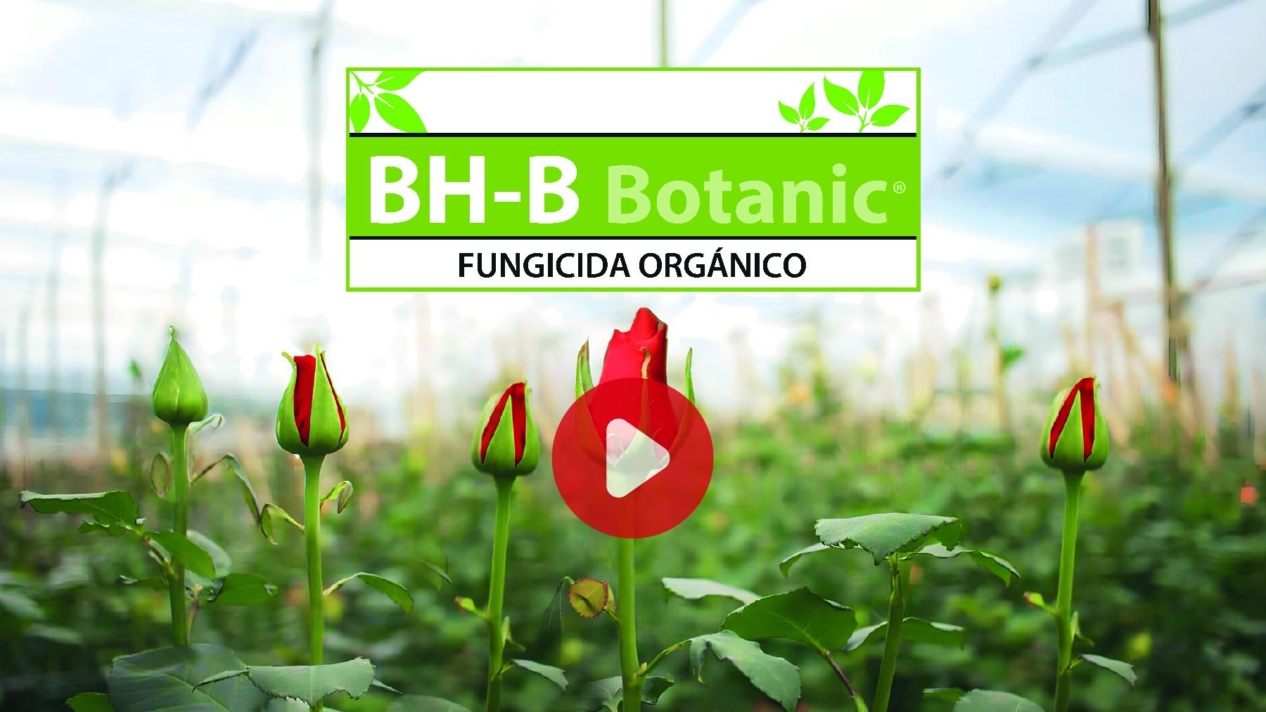 BH-B Botanic